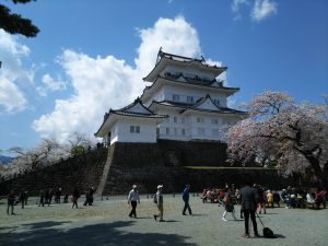 小田原城桜2