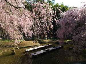 荒井城址公園4