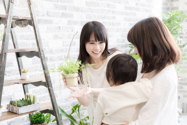 観葉植物の葉の向きや形の特徴を捉えて運気を高める