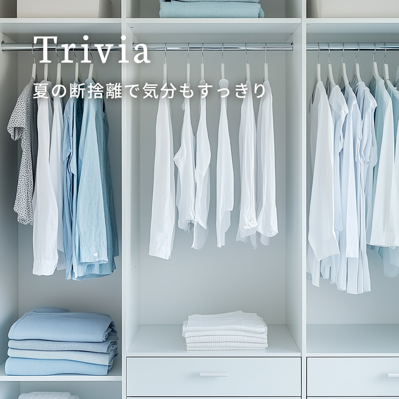 夏の断捨離で気分もすっきり - ソファー、モダン家具のインテリア