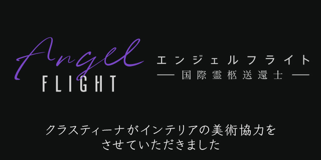 angelflight_eye