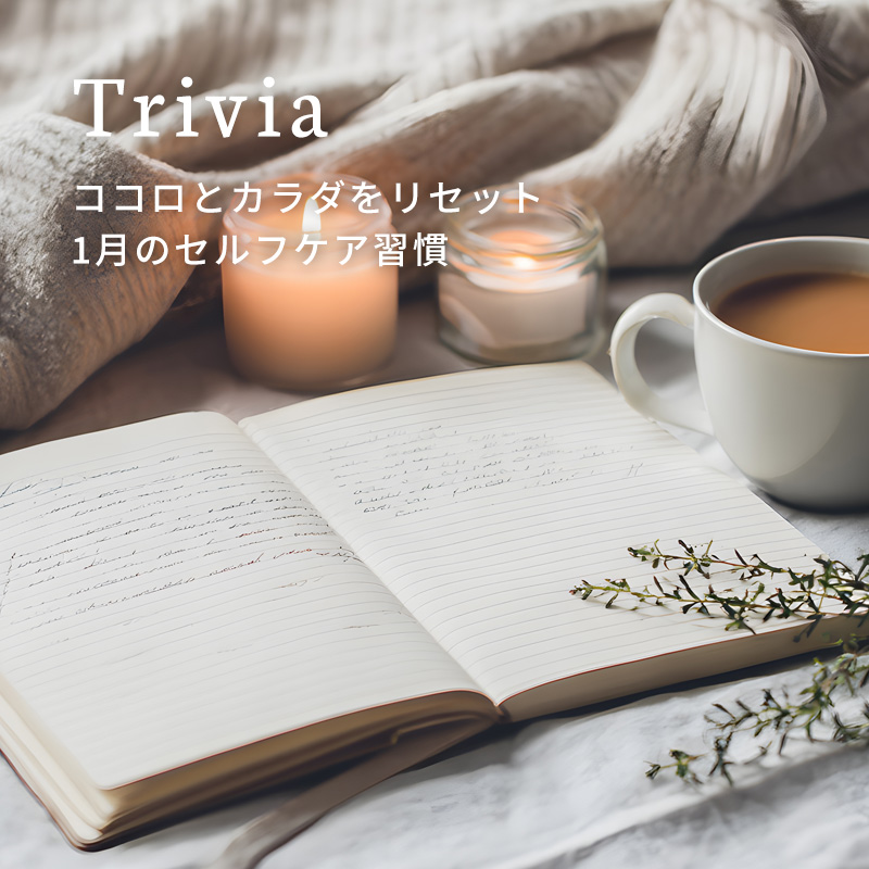 世界三大銘木ウォールナット、チーク、マホガニーの特徴を知る